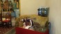 San Lussorio | Martire - presepe_san_lussorio_2014